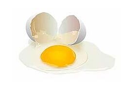 ไข่และเซรั่มเพื่อการฟื้นฟู